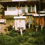 skanuj0016-150x150 O pasiece