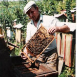 skanuj0019-150x150 O pasiece