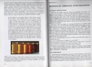 1-300x217 Ziołomiody