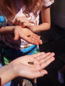 20200706_105641-225x300 Taka historia