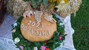 20210817_181828-300x169 Taka historia