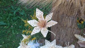 20210817_181954-300x169 Taka historia