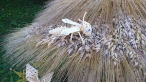 20210817_182002-300x169 Taka historia