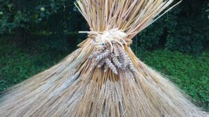 20210817_182008-300x169 Taka historia