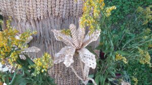 20210817_182034-300x169 Taka historia