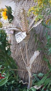 20210817_182057-169x300 Taka historia