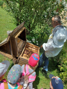 4402724033624360281209244253276568782584821n-f1324d324c-225x300 Taka historia