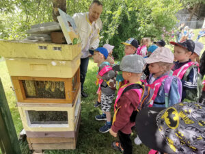 44478128621841645919167155788060894287920654n-f8a69d86f4-300x225 Taka historia