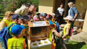 5-300x169 Taka historia