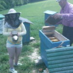 DSC06759-150x150 O pasiece