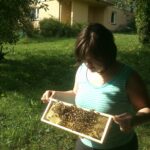 DSC_2615-150x150 O pasiece