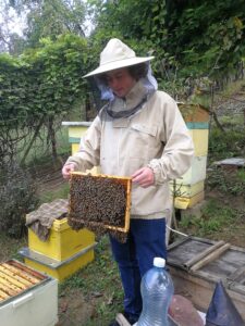 IMG_20180828_084714-225x300 Taka historia