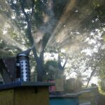 IMG_20200730_064357-150x150 O pasiece