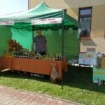 IMG_20220815_105047-150x150 O pasiece