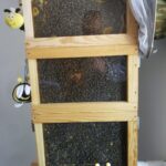 IMG_20240514_102723-150x150 O pasiece