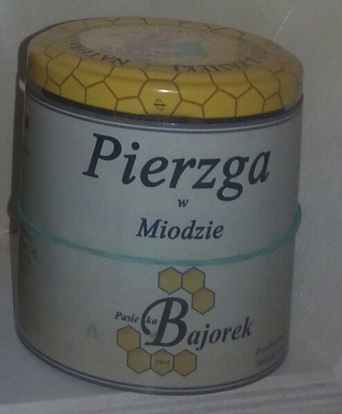 Pierzga-w-miodzie-495x600 Pierzga świeża
