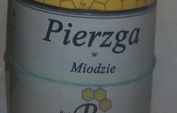 Pierzga-w-miodzie-600x384 Produkty