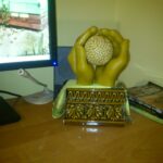 do-galerii-150x150 O pasiece