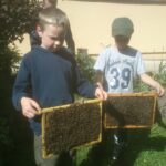 pszcoly-na-ramce-150x150 O pasiece